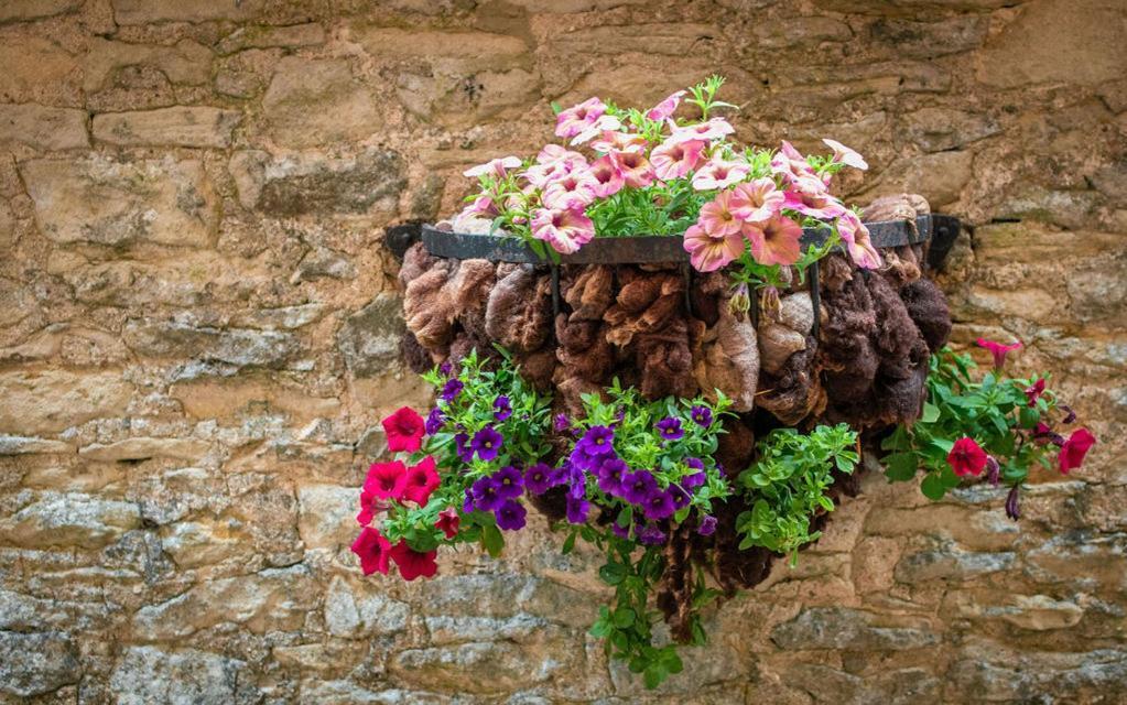 High Paradise Farm Thirsk Zimmer foto