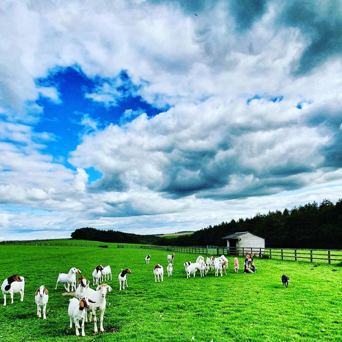 High Paradise Farm Thirsk Exterior foto